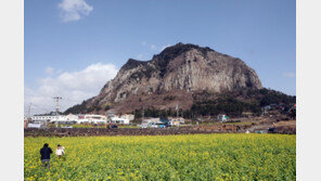 [날씨]2월 첫날, 낮엔 최고 12도 ‘전국 영상권’…미세먼지 ‘나쁨’