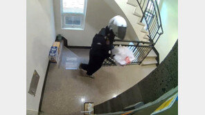 피자 배달하다 옆집 택배 훔친 기사, CCTV로 발각 