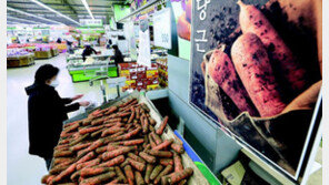 한파-폭설로 크게 오른 채소값 