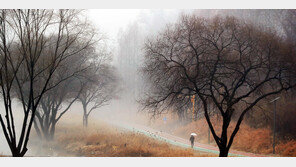 낮 최고 12도 평년보다 ‘포근’…서울 -1~4도, 부산 6~12도