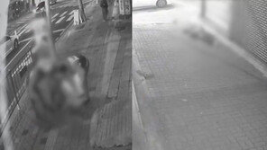 현장 출동 경찰이 방치한 취객, 車에 치여 숨져