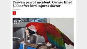 앵무새 공격에 조깅하던 의사 골반 골절…새 주인 ‘벌금 1억’