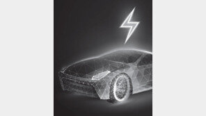 [단독]수입 전기차 보조금 10~50% 삭감 가닥… 최대 136만원 부담늘듯 