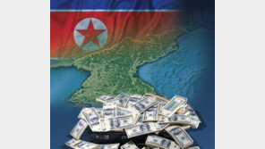 [단독]“김용, 김성태 500만달러 北전달후 만나 고맙다 말해” 