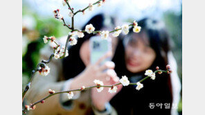 봄꽃 소식 들려오는데… 경제는 계속 한겨울 