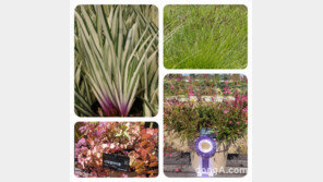 삼성물산, ‘올해의 정원식물’ 래미안 단지에 적용