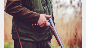 “멧돼지로 착각” 택시기사에 엽총 쏴 숨지게 한 엽사, 실형