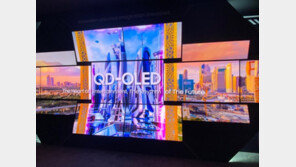 ‘역대 최대’ 실적 삼성디스플레이…“삼성전자 위기여서 더 빛났다”