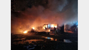 제주 한라봉 보관 창고서 화재…5000여만원 피해