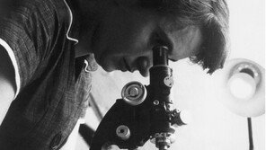 생명의 비밀 파헤친  ‘황금손’…여성 과학자 프랭클린을 다시 보다