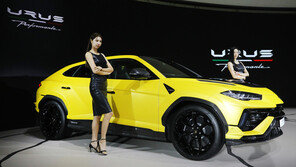 ‘람보르기니·맥라렌’ 슈퍼카 75%는 법인차…“무슨 업무에 쓰려고”