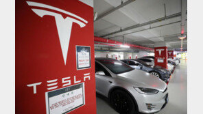 테슬라, 한국서도 전기차 가격 내렸다…전 트림 보조금 대상