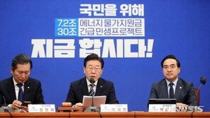 이재명, 檢수사에 “완성도 떨어지는 소설 너무 잘 팔려”