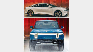 테슬라 가격인하뒤… 전기차 생존게임 시작됐다 