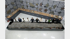 길이 10.2m…국내서 가장 큰  나무화석 공개된다