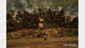 칠레, 중남부 지역서 시작된 화재 대규모 산불로 확산…최소 26명 사망