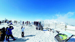 속 터지는 한라산 탐방예약제… 접속 오류-티켓 불법거래 등 불만 속출