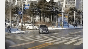 횡단보도 앞 꿈쩍 못하는 할머니 보행기…지나가던 청년 ‘번쩍’