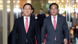 與, 이상민 탄핵 법사위 조사 회부…野 181인 반대 부결