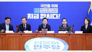 [단독]민주당 “尹, 與전대 개입은 정치중립 위반” 고발 검토