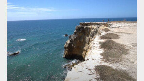 “틱톡 영상 찍으려다”…절벽에서 추락사한 美 20대 남성