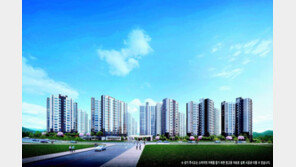 내포신도시 최초 특별 계약 혜택… 중도금 전액 무이자에 무상옵션 제공