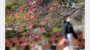 낮 기온 5~12도 ‘포근’…밤부터 전국에 비 또는 눈