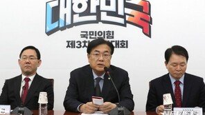 與, 84만명 전대 선거인단 명단 의결…수도권 37.79% 영남권 39%