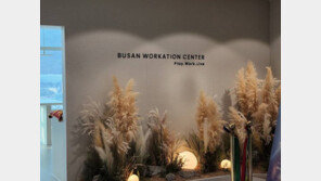워케이션 '뷰맛집', 부산 워케이션 거점센터에서 일해보니...