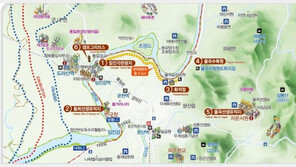 ‘색다른 경험’ 임진강 생태탐방로 걸으며 힐링해요