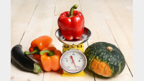 ‘적게 먹으면 장수’ 과학적 근거 찾았다 