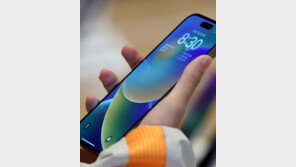 韓상륙 애플페이…‘갤럭시 vs 아이폰’ 판도 지각변동 오나