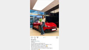 4억 페라리 사진 ‘싹’ 지우더니…야옹이 작가 결국 탈세 사과문 게재