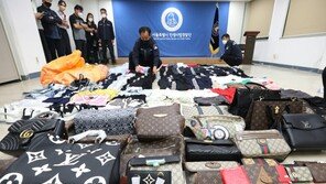 ‘짝퉁’ 명품 5년간 2조원 넘게 수입…최다 적발된 브랜드는?