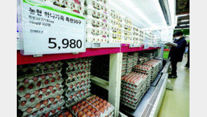 계란 소비감소에 농가돕기 할인 행사 