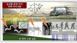 “농산물 오염이 노화 가속화”…오염 농산물 먹이사슬 규명
