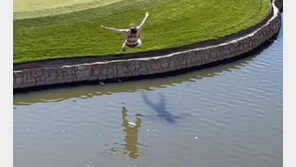 반나체로 경기 난입한 美남성, ‘폴댄스’ 추고 연못에 ‘퐁당’ (영상)