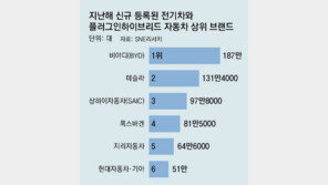 작년 세계 전기차 등록 첫 1000만대… 현대차 6위 