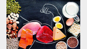 무병장수의 비결은 단백질… 산양유 단백으로 건강수명을 채워라