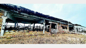 “평야에 씨앗 대신 지뢰”… 멈춰선 ‘세계 빵 공장’[우크라 곡창지대 르포] 