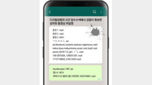법원 “압수수색할 파일명 영장에 써내라”… 檢 “마약수사 등 차질” 