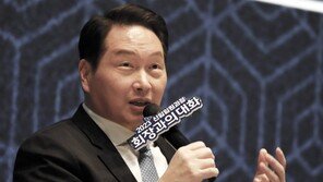 최태원, 이혼소송 악플 단 누리꾼 직접 고소