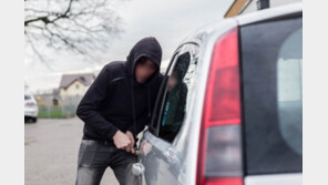 ‘비싼 아파트’ 검색해 전국 돌며 차량 턴 30대 검거