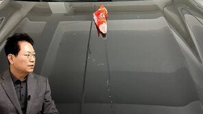 “차 보닛에 쭈쭈바 둔 범인 잡겠다”…‘생돈 80만원’ 쓴 차주 부글