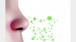 미세먼지 짙어질수록 괴로운 코… 구아버잎 추출물로 시원하게 뻥