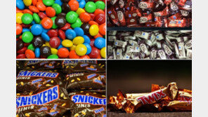 ‘초콜릿 빠져 죽을 뻔’…M&M‘s 제조사 ’마스 리글리‘, 1800만원 벌금