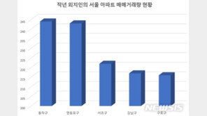 작년 서울 아파트 외지인 매입…동작·영등포·서초 순 많아