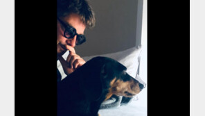 무대 혹평했다고…반려견 배설물로 평론가 얼굴 테러한 안무가