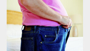 나이 들어 뱃살 ‘볼록’…복부비만, 성인병-치매 부른다