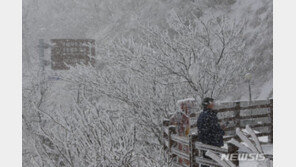 [날씨]출근길 영하권 추위…강원·경북 많은 눈